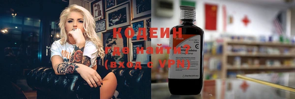 амф Вяземский