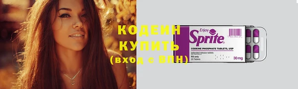 амф Вяземский