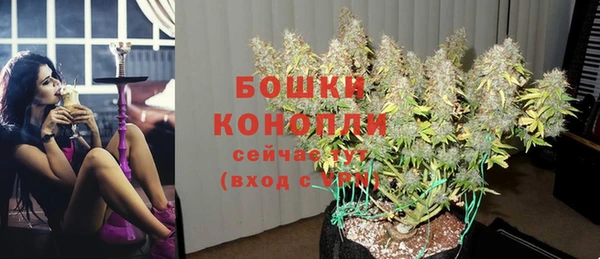 амф Вяземский