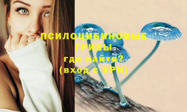 винт Вязьма